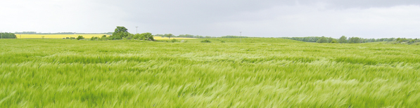agriculture1