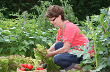 agriculture